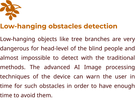 Low-hanging obstacles detection Low-hanging objects like tree branches are very dangerous for head-level of the blind people and almost impossible to detect with the traditional methods. The advanced AI Image processing techniques of the device can warn the user in time for such obstacles in order to have enough time to avoid them.