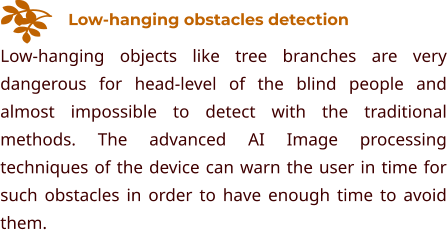 Low-hanging obstacles detection Low-hanging objects like tree branches are very dangerous for head-level of the blind people and almost impossible to detect with the traditional methods. The advanced AI Image processing techniques of the device can warn the user in time for such obstacles in order to have enough time to avoid them.